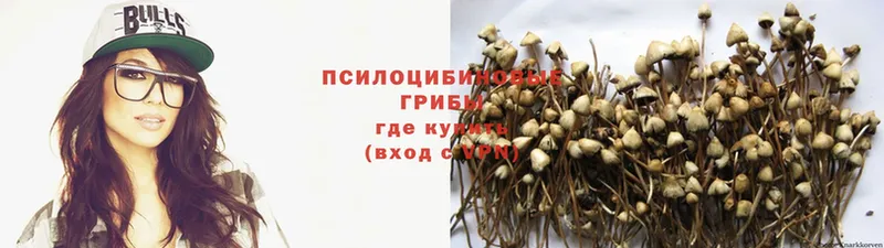 Псилоцибиновые грибы MAGIC MUSHROOMS Иннополис